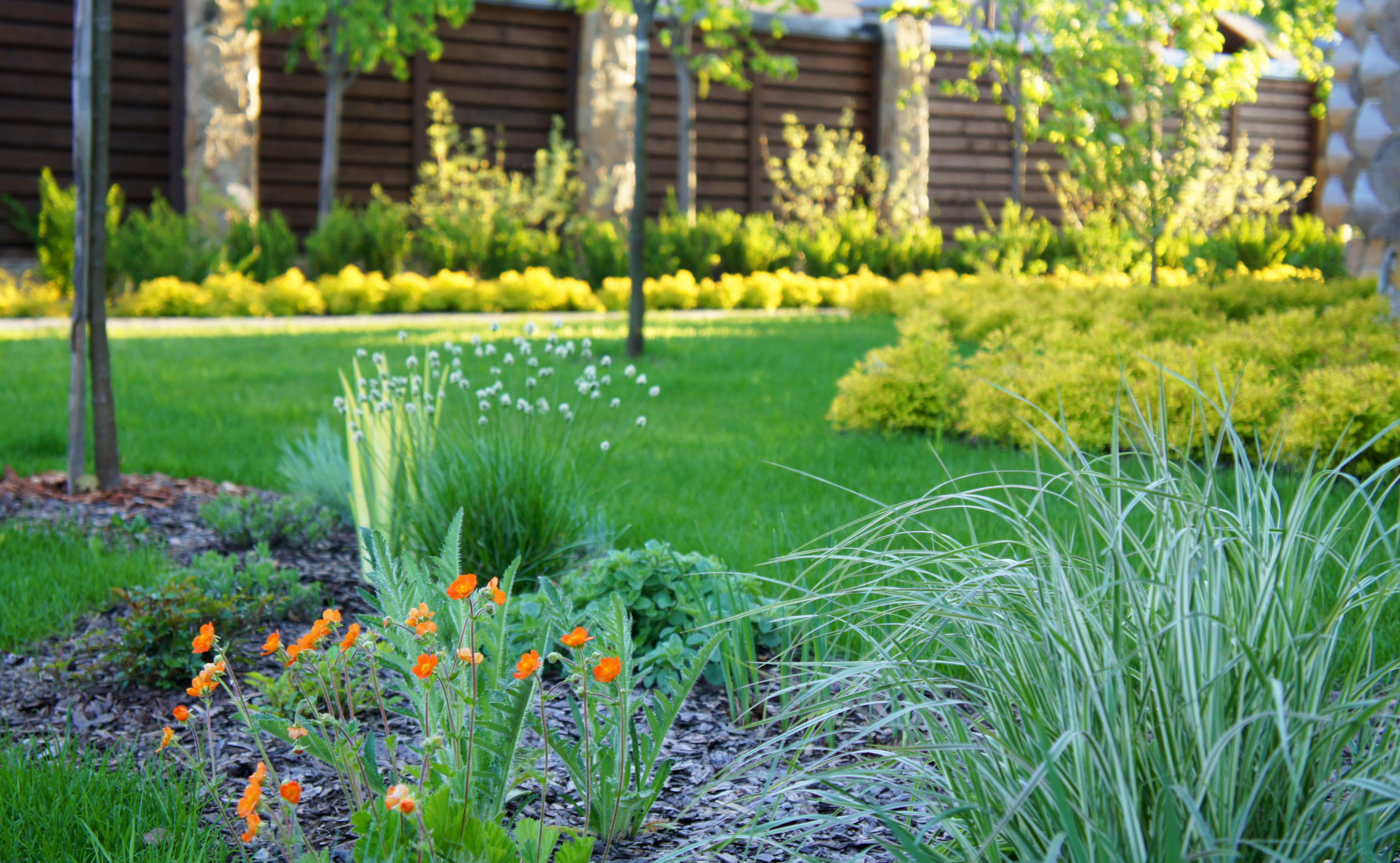 Сад недели: Весна в Подмосковье