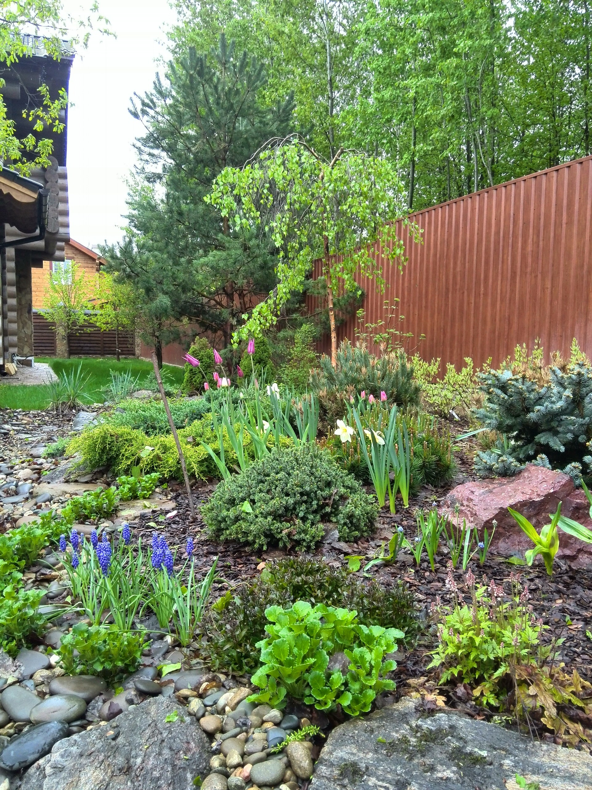 Сад недели: Весна в Подмосковье