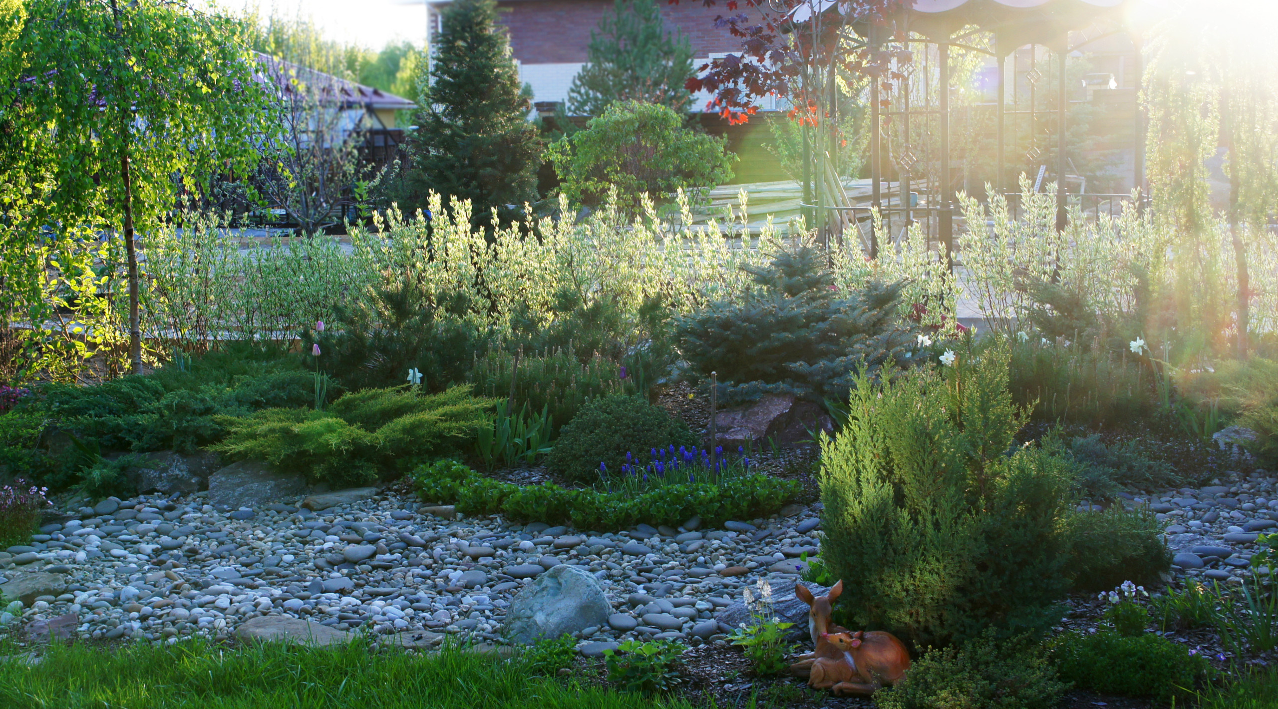 Сад недели: Весна в Подмосковье