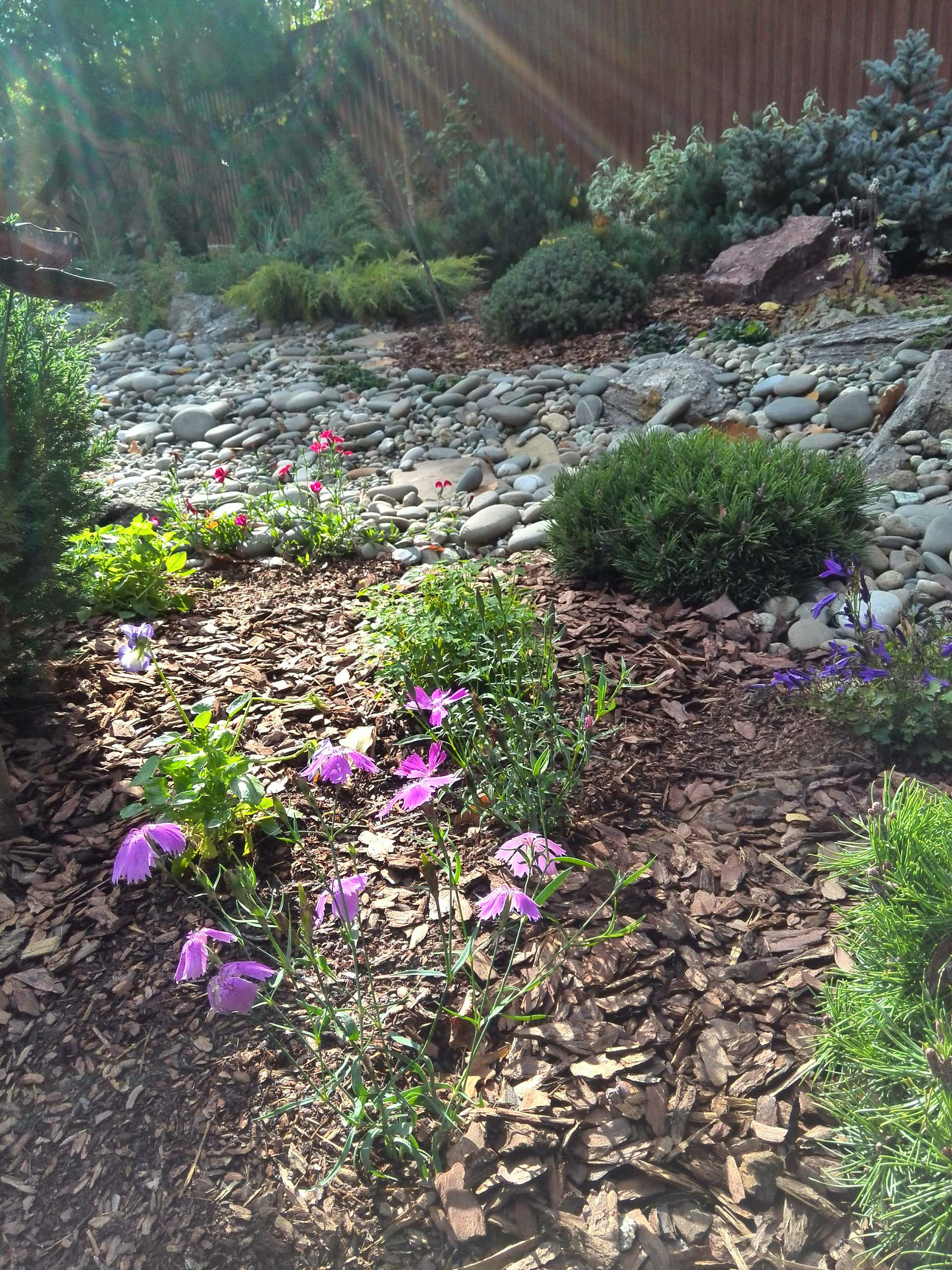 Сад недели: Весна в Подмосковье