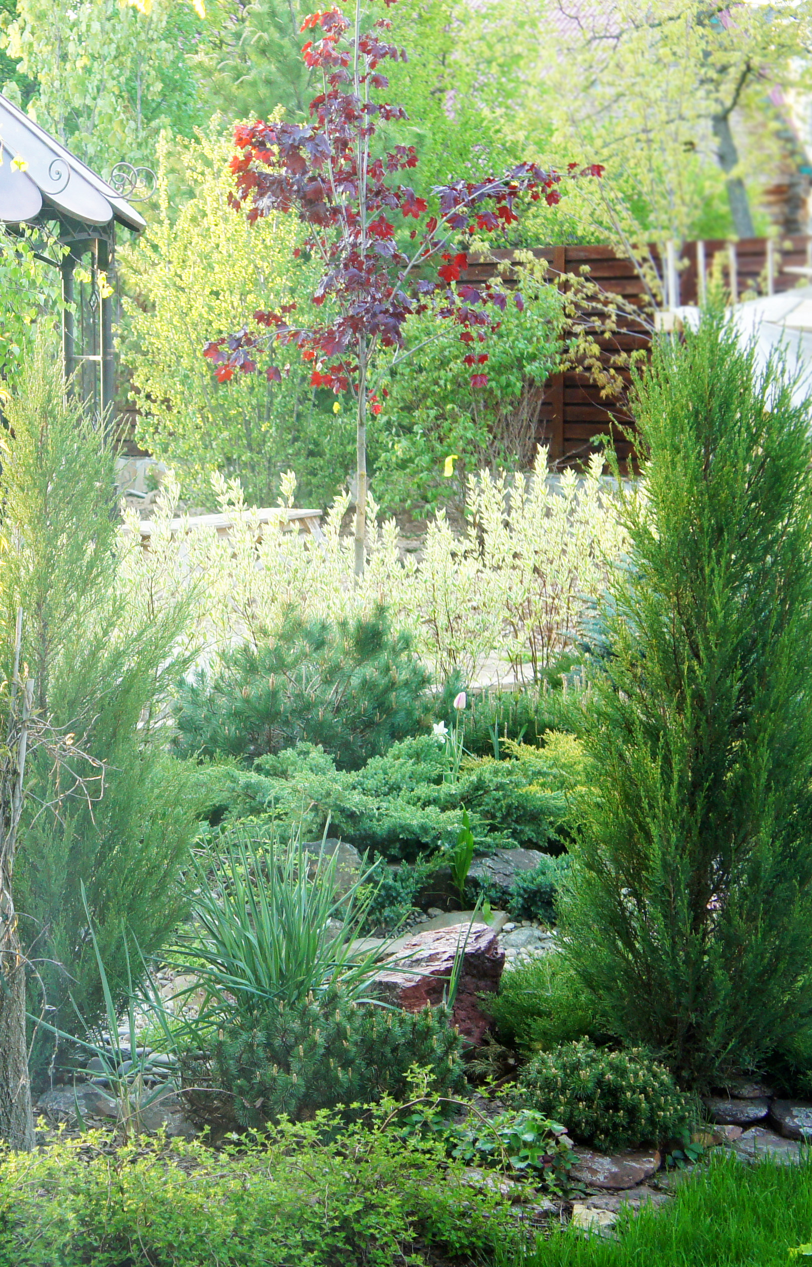 Сад недели: Весна в Подмосковье