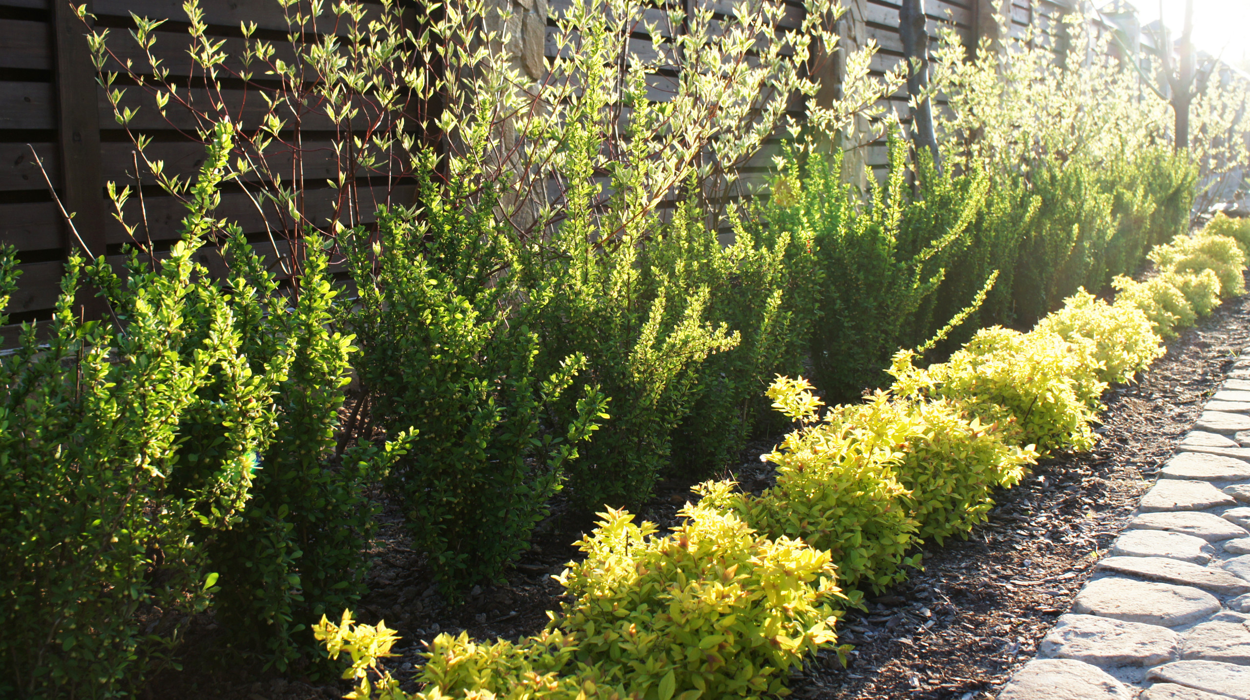 Сад недели: Весна в Подмосковье