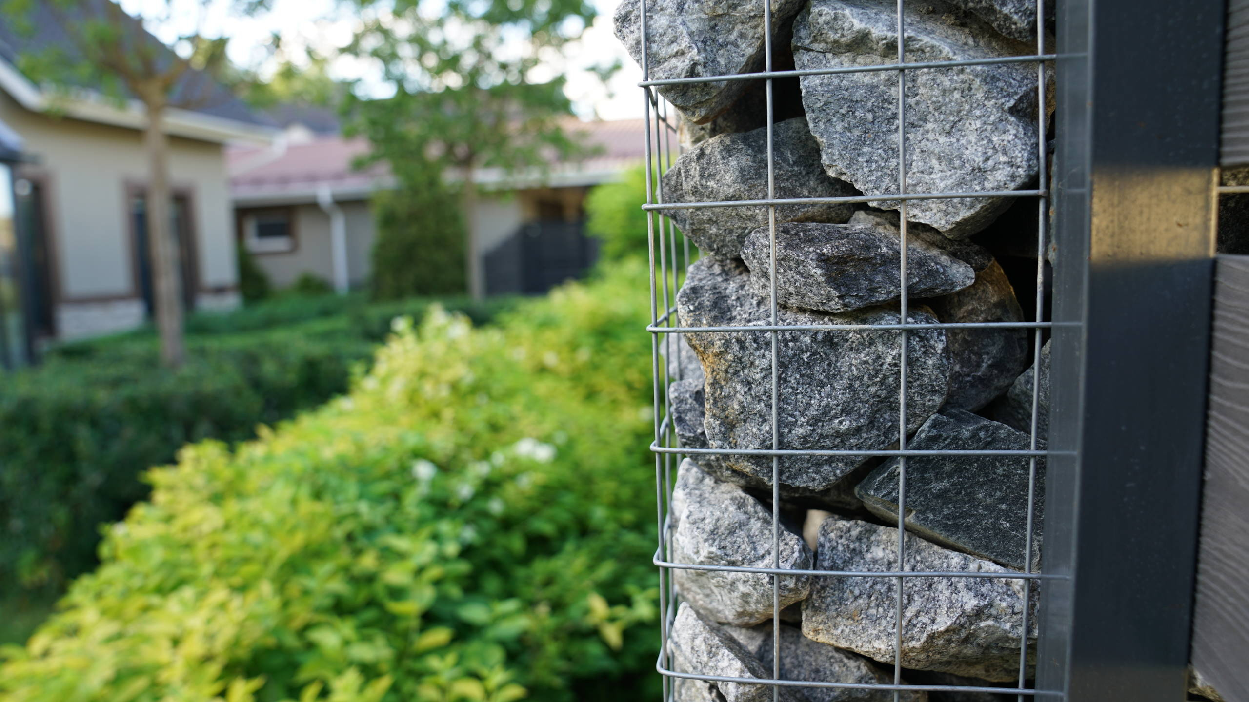 Как правильно: Спрятать некрасивый забор