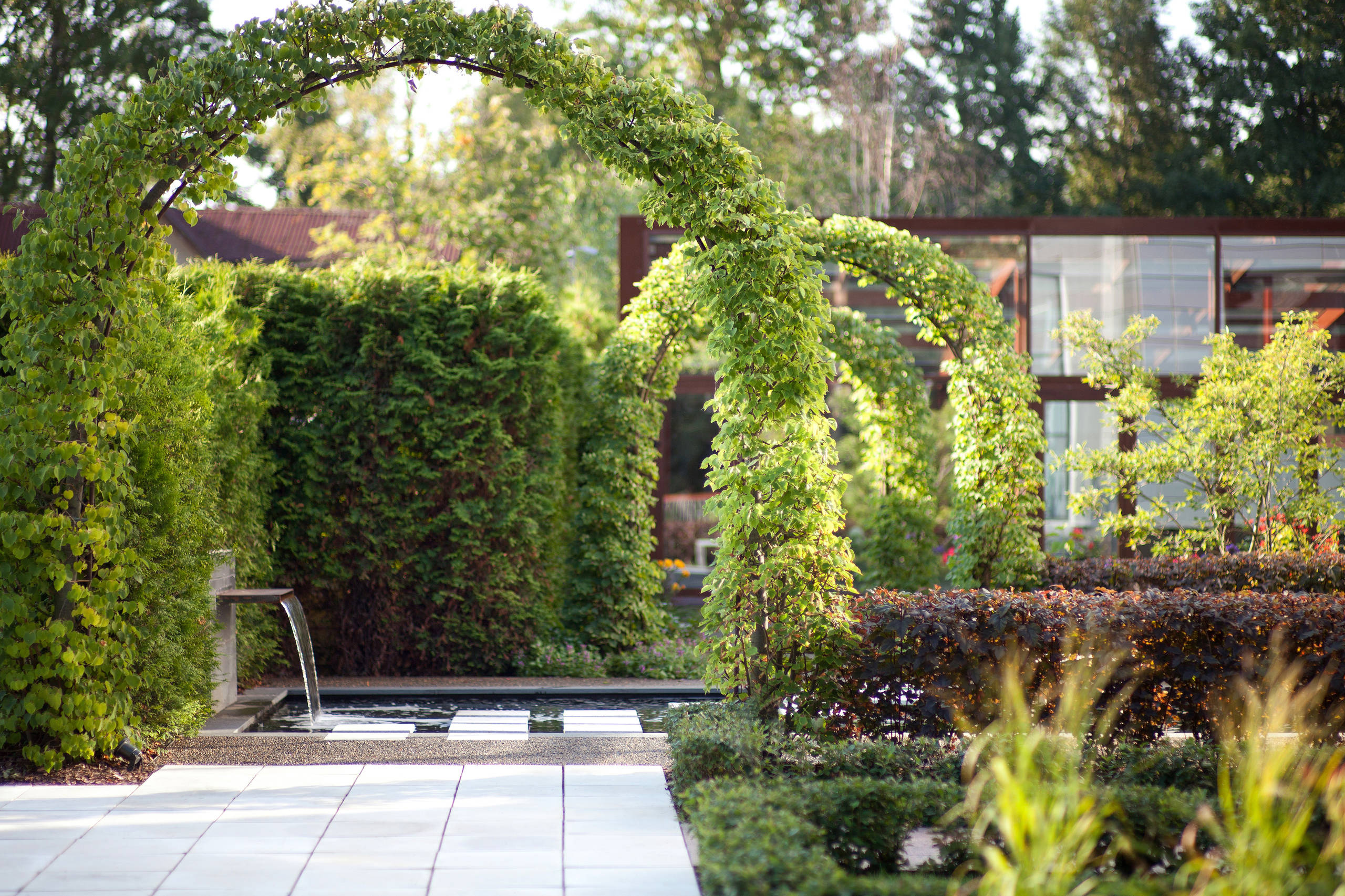 Управляй вниманием: Как показать сад во всей его красе