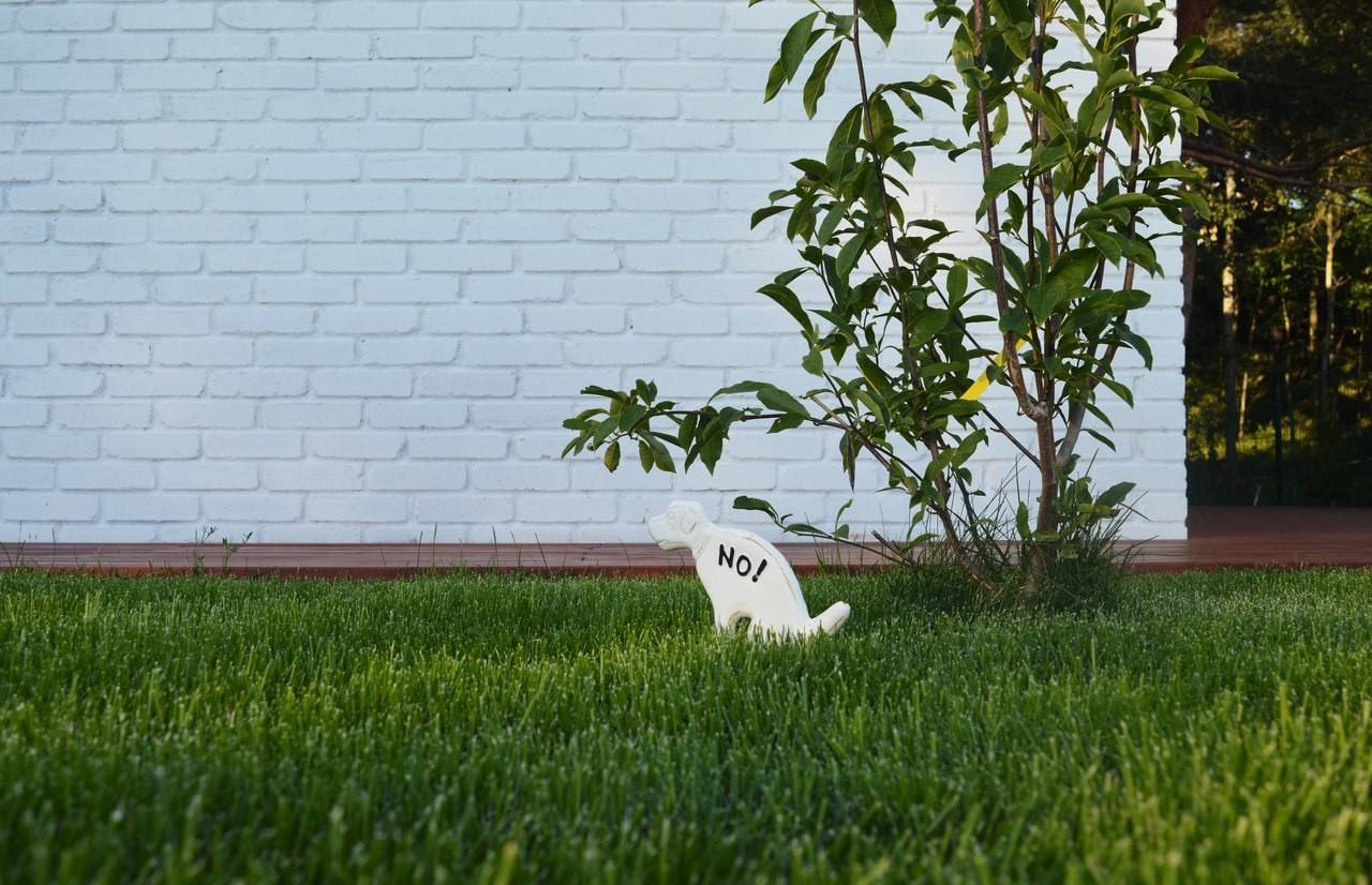 Покупаем дачу: Как понять, что документы в порядке