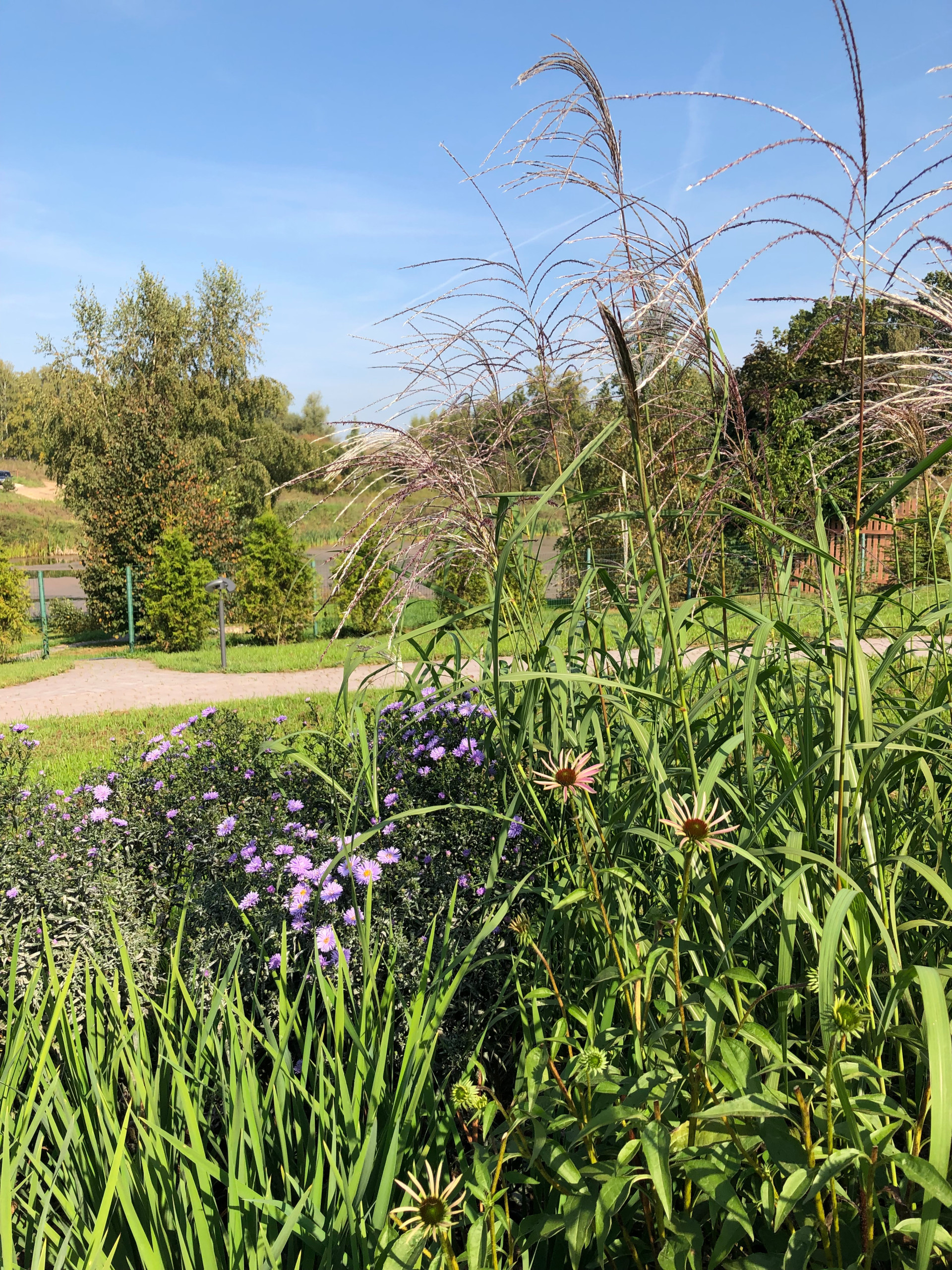 В гостях: Переделка природного сада у каскада прудов
