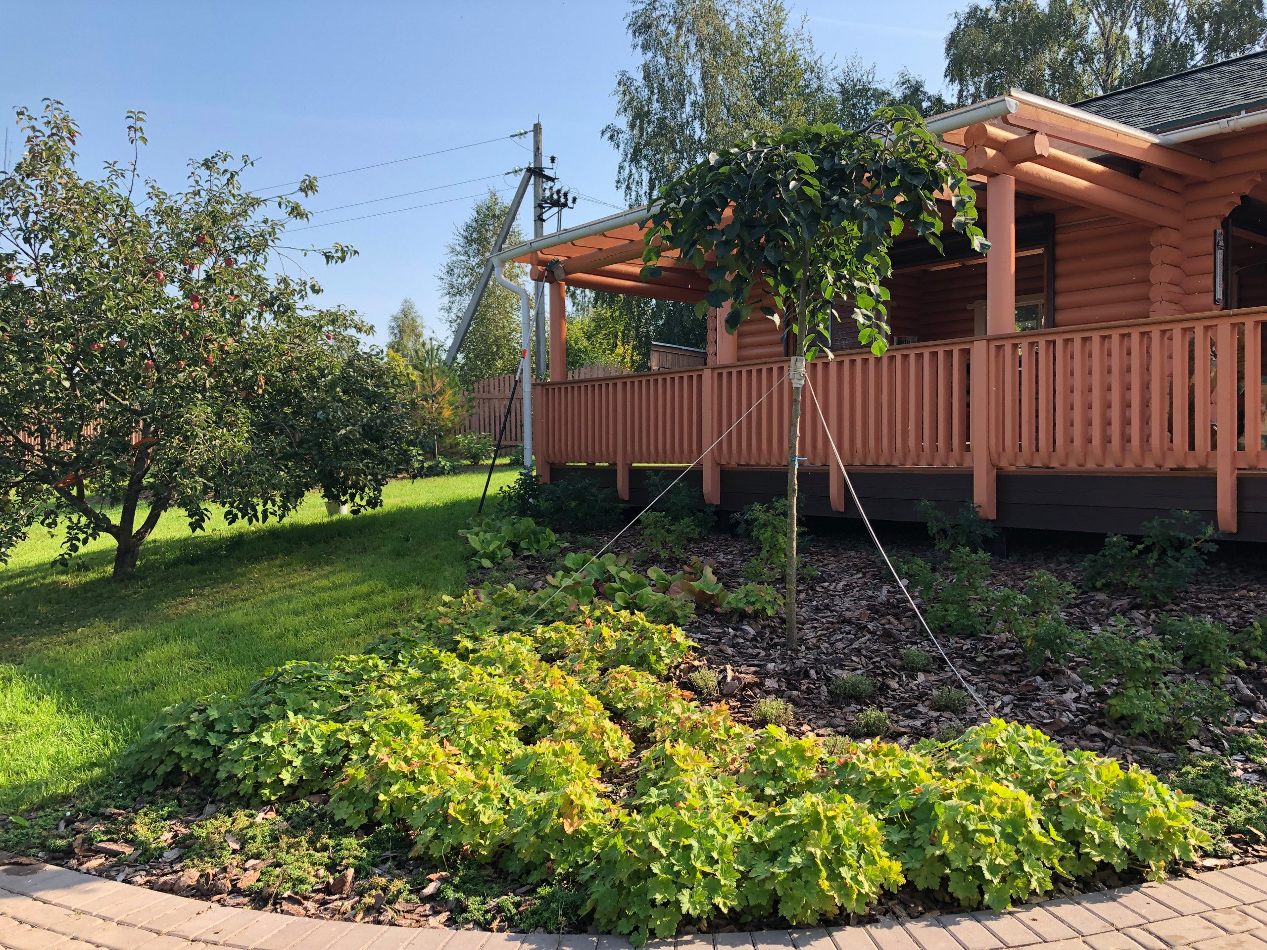 В гостях: Переделка природного сада у каскада прудов