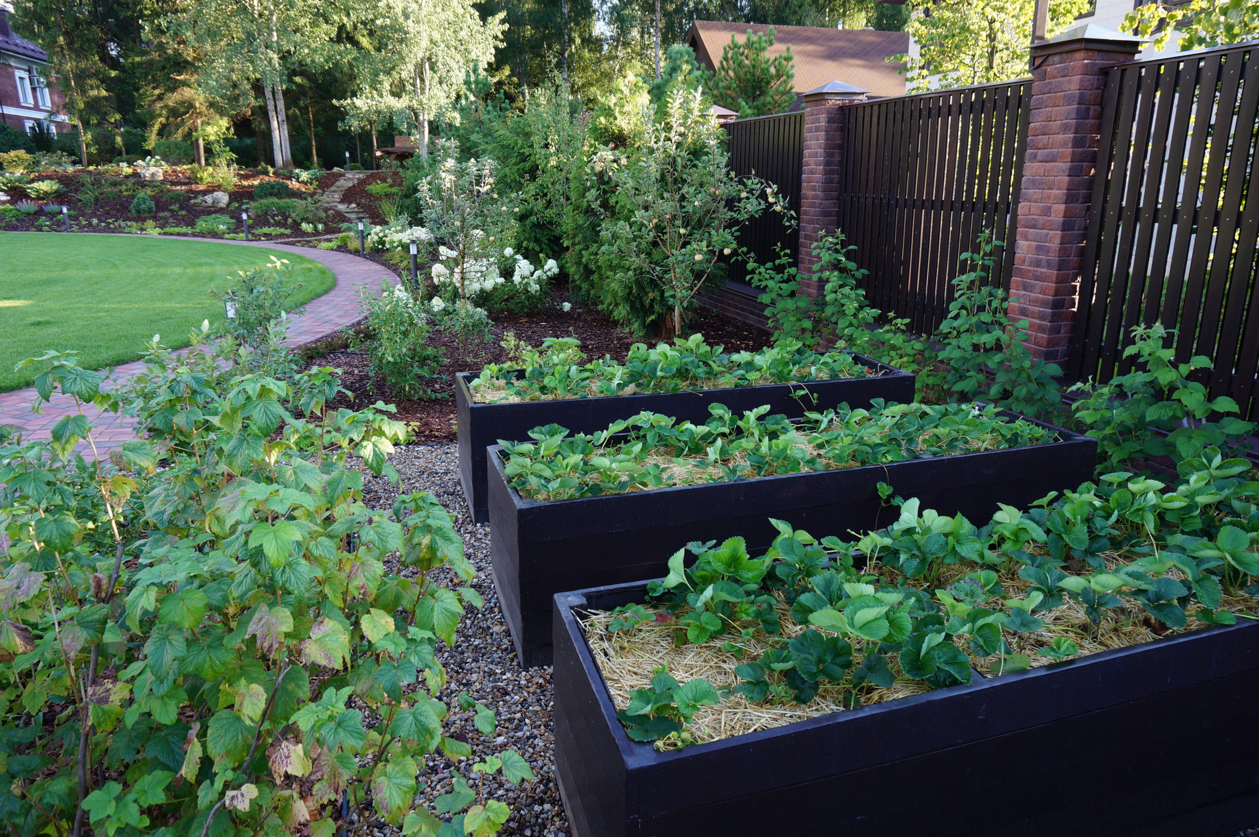 Вопрос: Какую мульчу выбрать [и зачем]