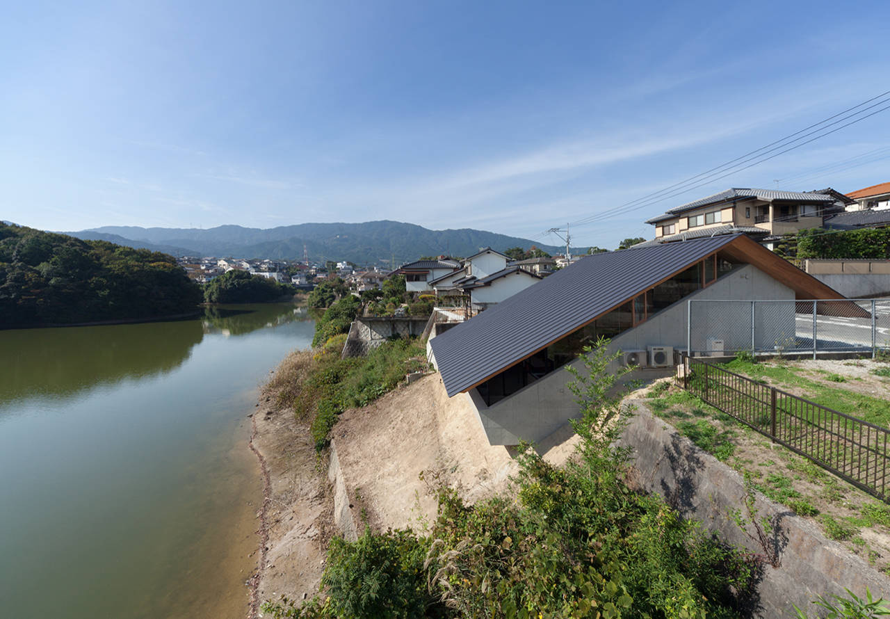 Ближе к природе: 10 примеров эффектного сосуществования