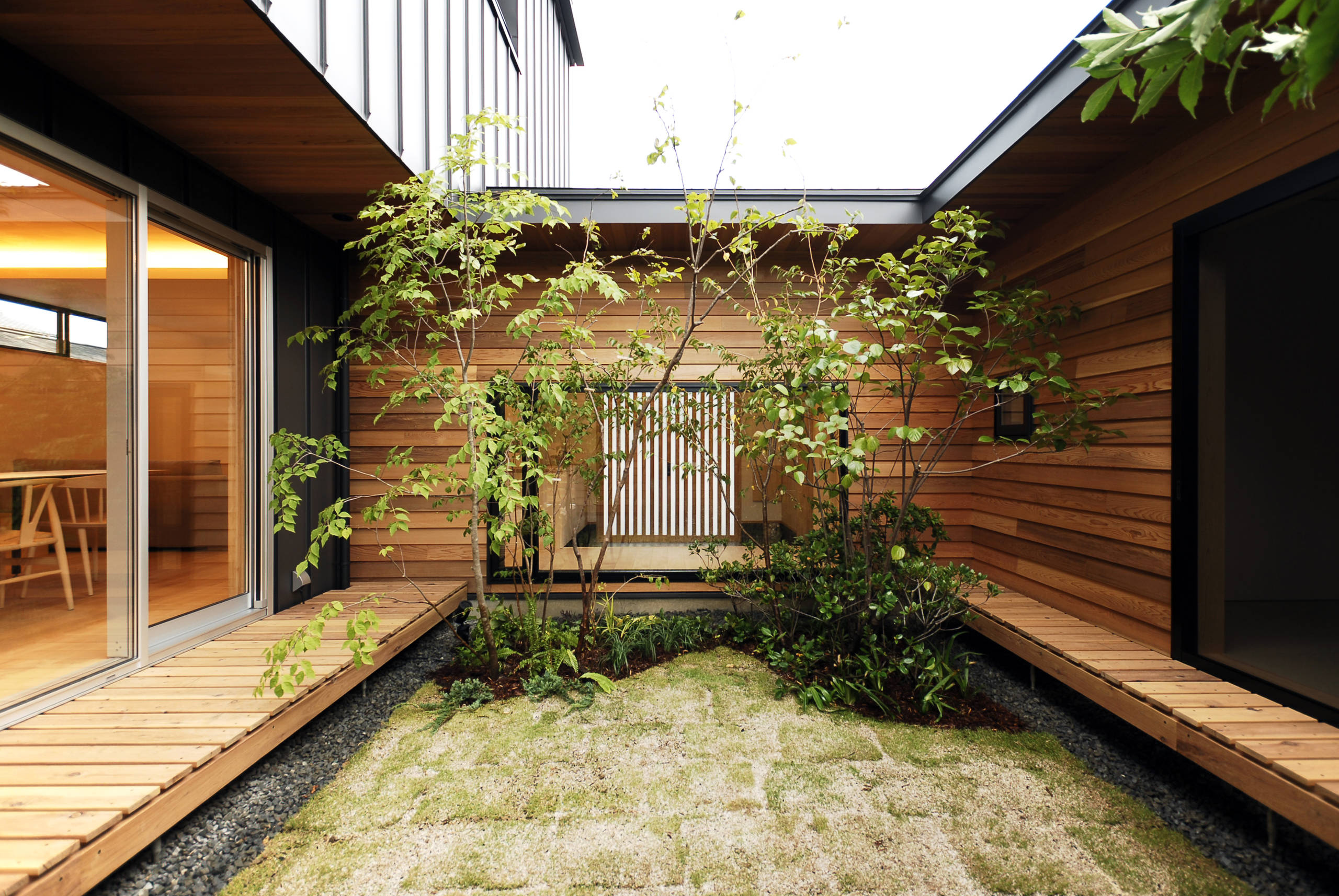 Японский сад: Только смотреть, руками не трогать