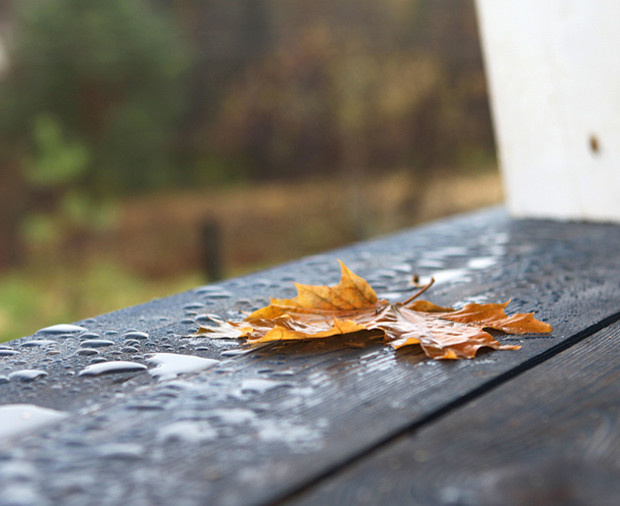 Small House "Ship" 18 sqm