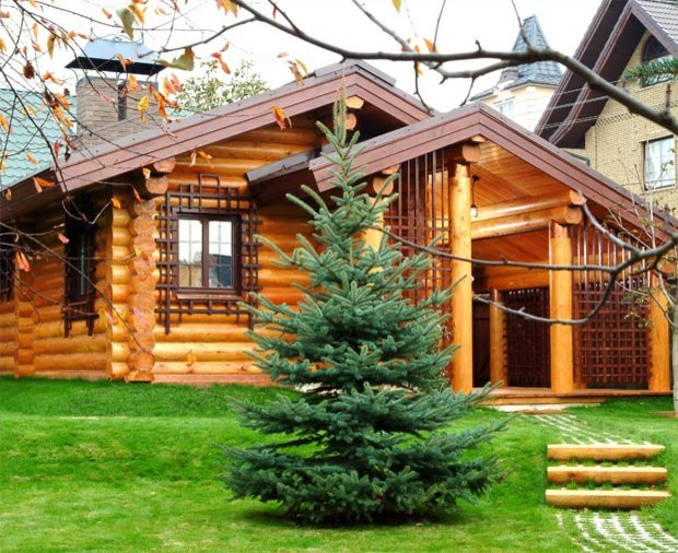 Sauna house