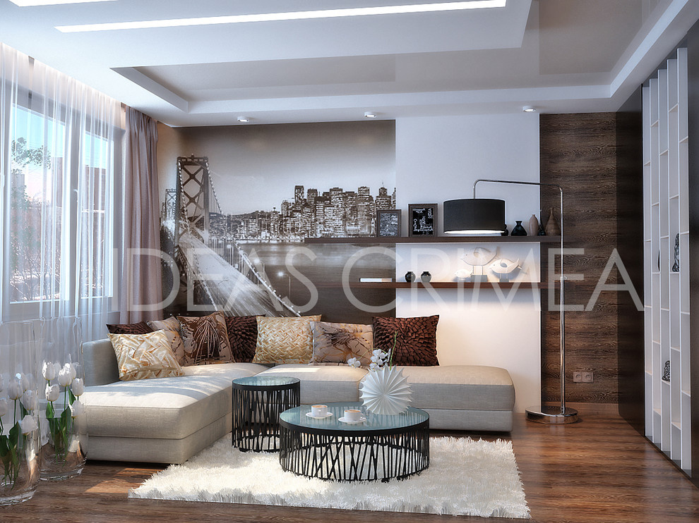 Two options for living room design