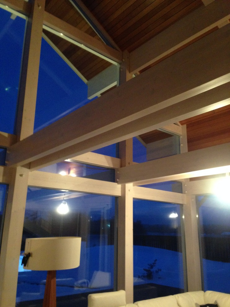 Glass/wooden frame house