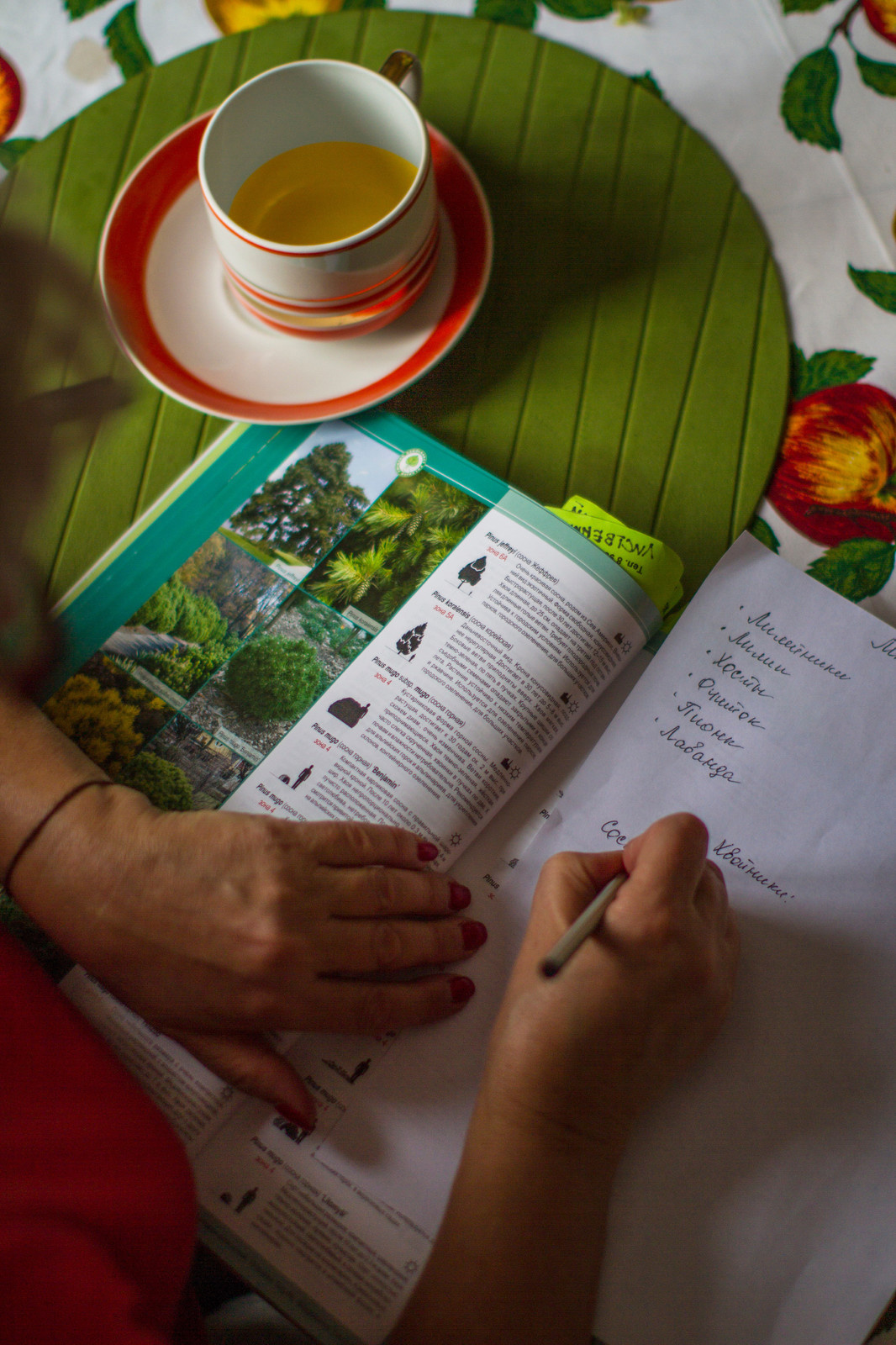 Павлинье гнездо