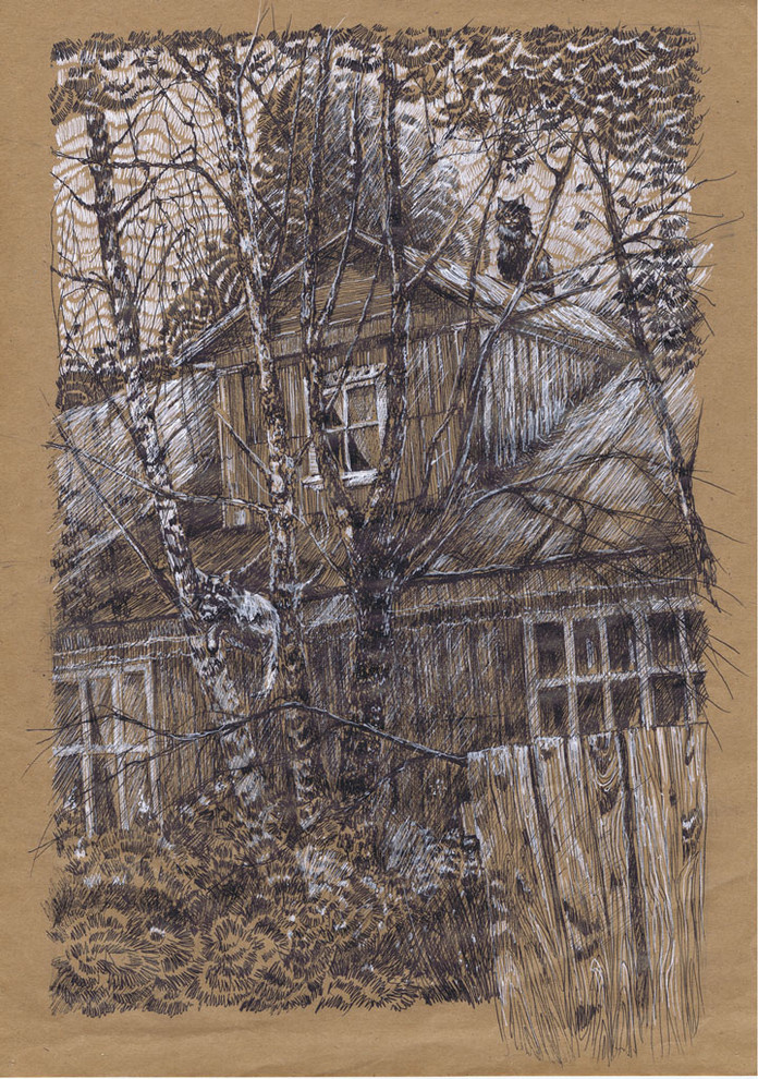 Альбом графики