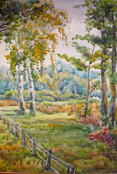 Альбом графики