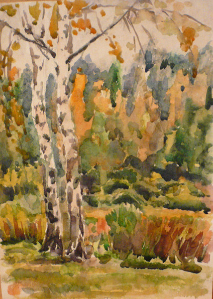 Обложка проекта: Альбом графики Drawings