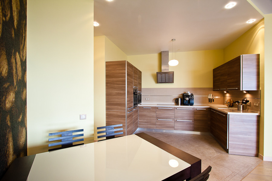 apartment in a modern style for family