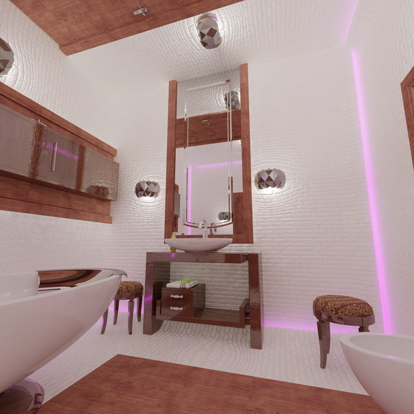 Bathrooms in the house