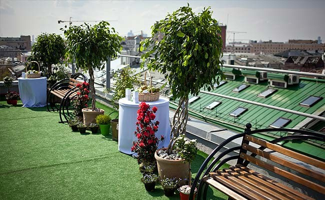 Фитодизайн интерьера