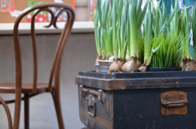 Дачные привычки: Что стоит «взять» с собой в город