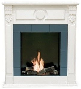 Обложка проекта: биокамины