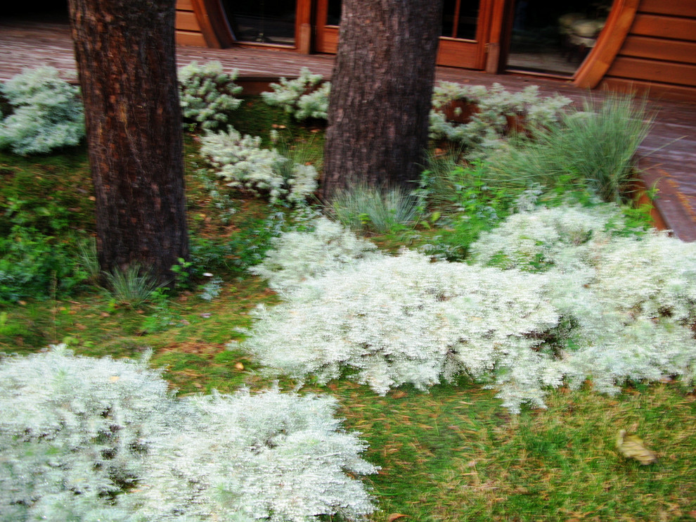 Средиземье в знаменитом Репино