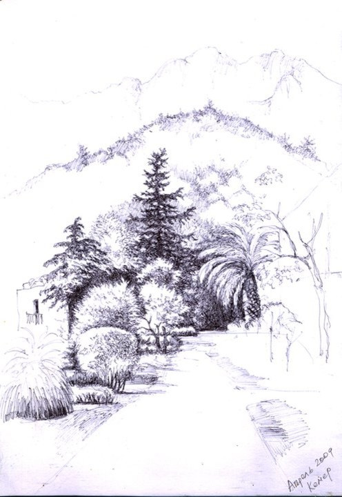 Мои черно-белые рисунки