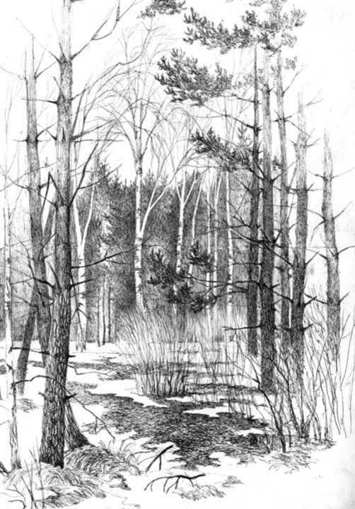 Мои черно-белые рисунки