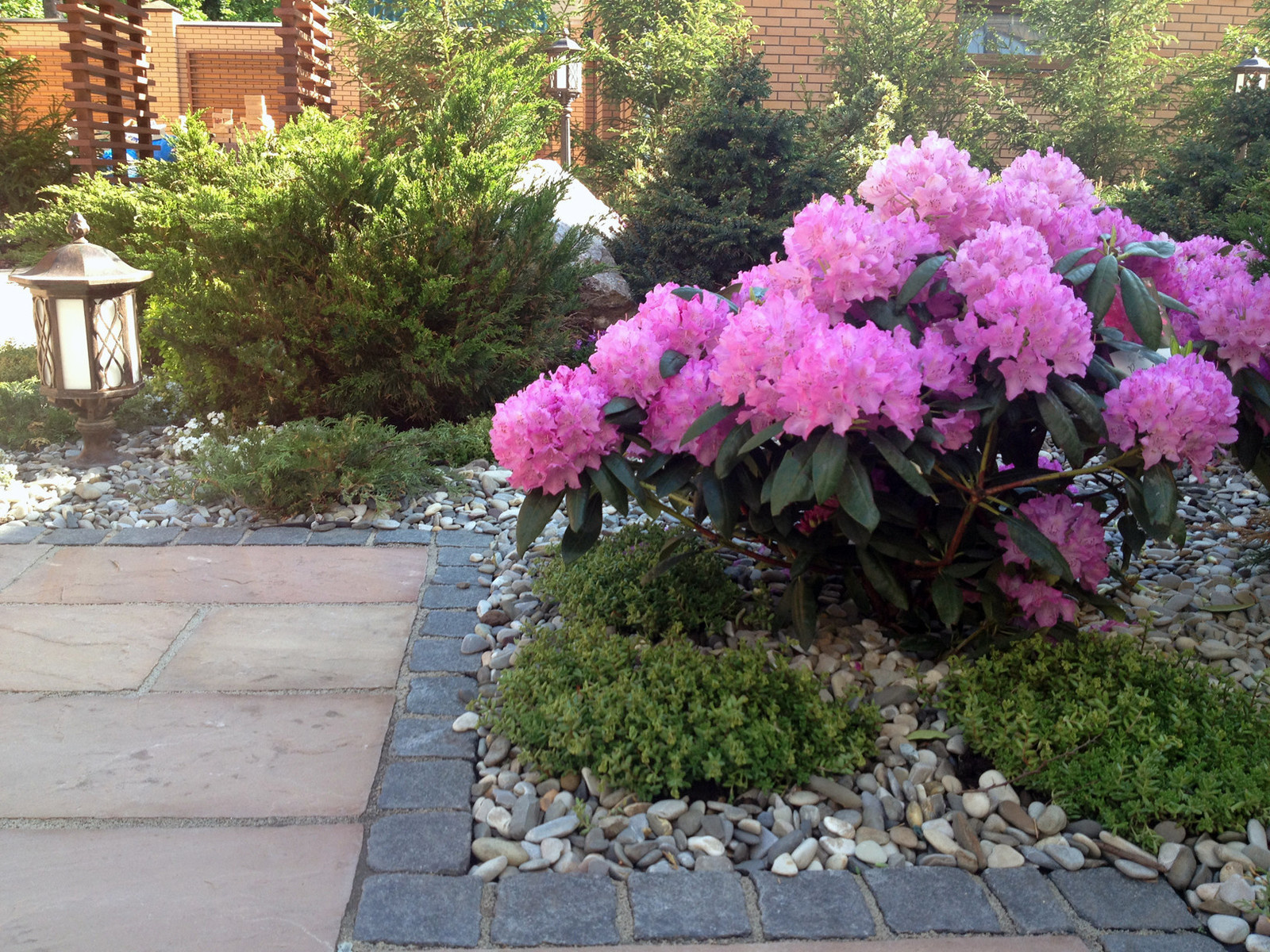 От знакомства до последнего цветника 6 месяцев