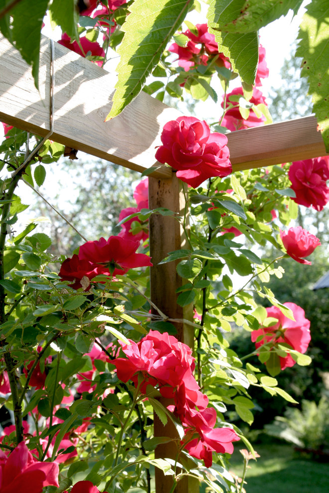 Обложка проекта: Сад на севере Подмосковья