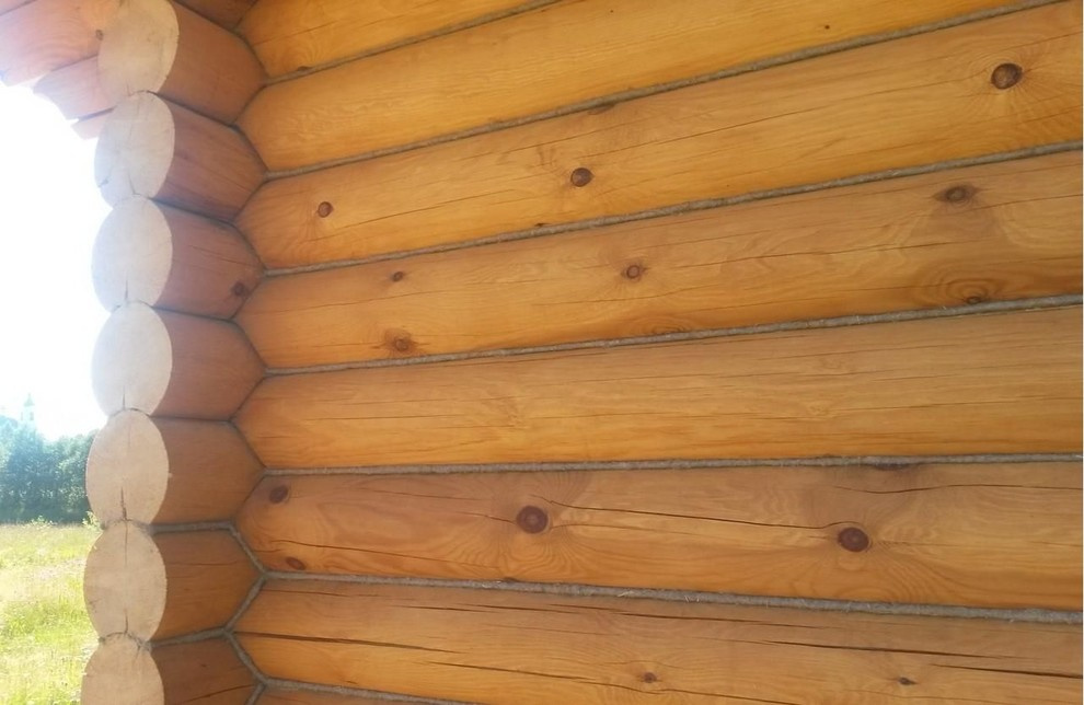 производим работы по шлифовке, покраске, конопатке срубов