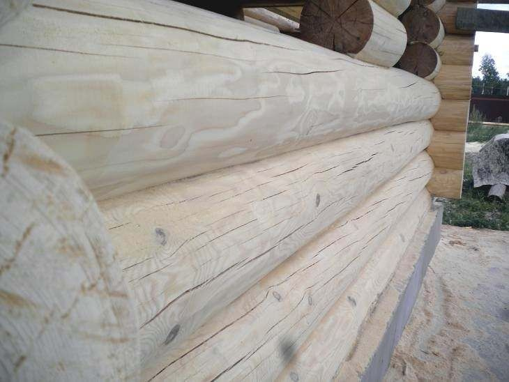 производим работы по шлифовке, покраске, конопатке срубов