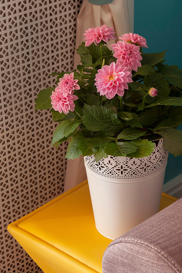 Радуга над Парижем