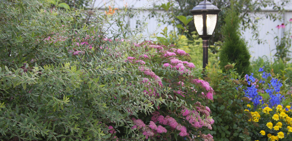 Гостеприимный сад