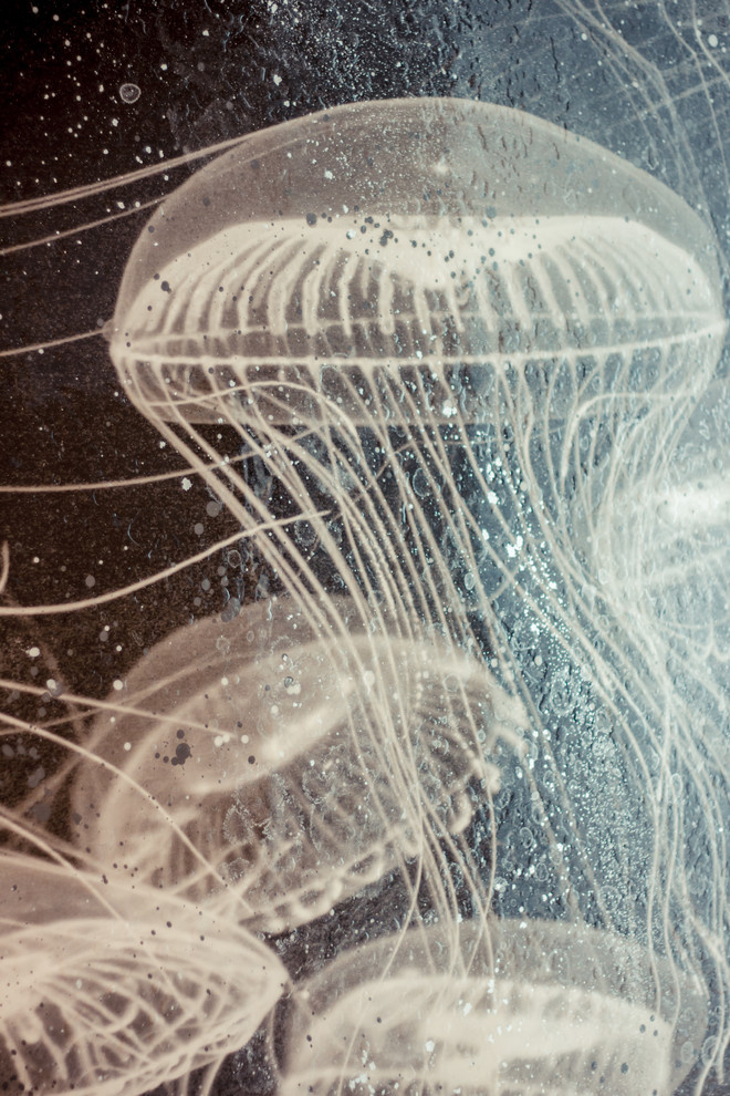 Ванная с декоративным панно от ALEX TURCO