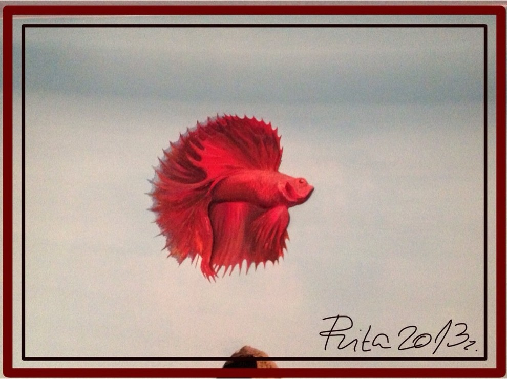 Жилой дом для большой семьи