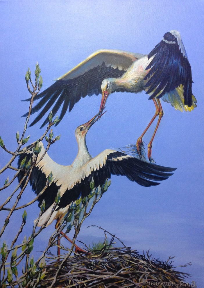 Жилой дом для большой семьи