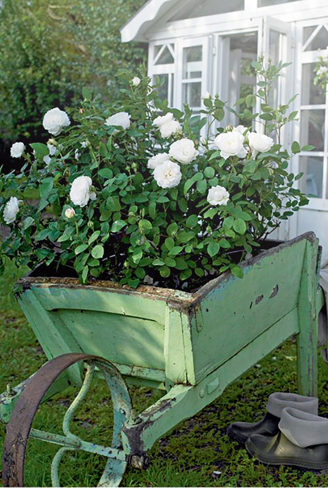 Ландшафт "КЛАССИКА"