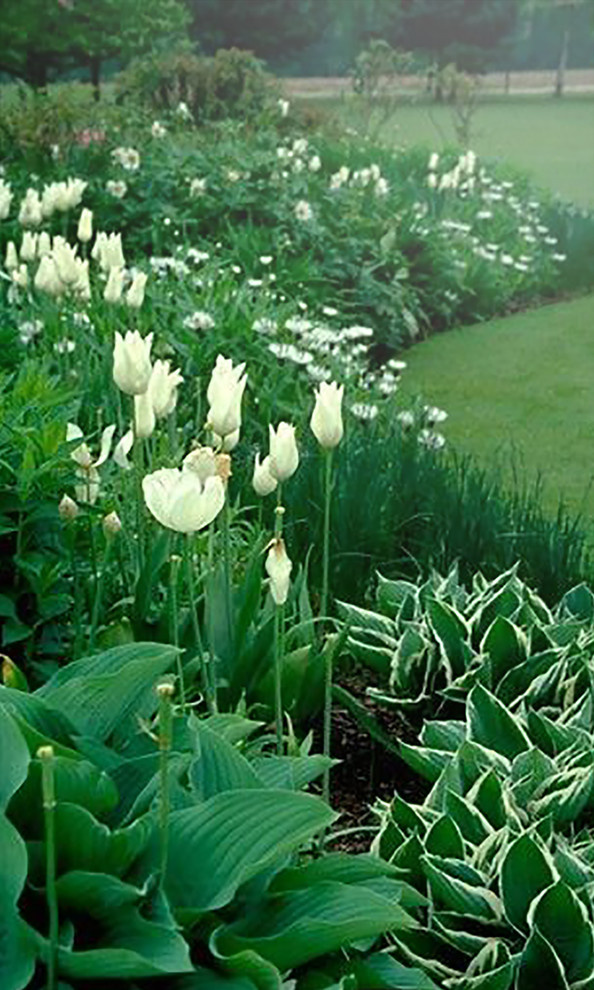 Ландшафт "КЛАССИКА"