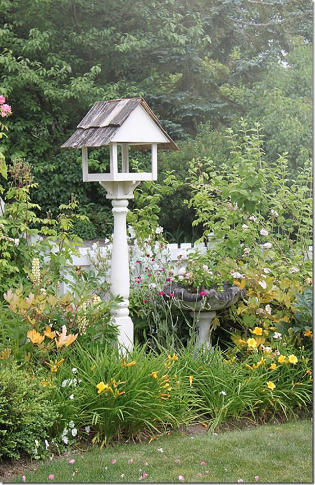 Кошкин сад: Как превратить свой участок в любимое место питомца