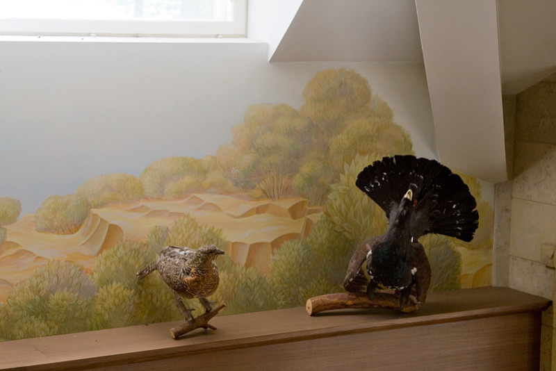 Коттедж 450 Горки-8