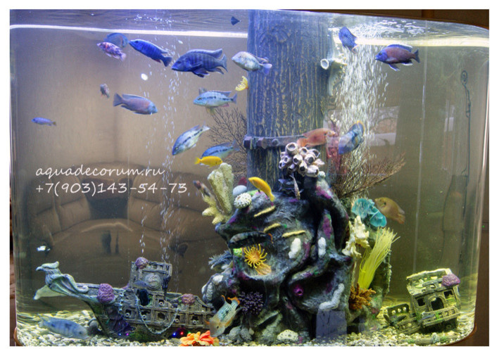 Аквариум в частном доме