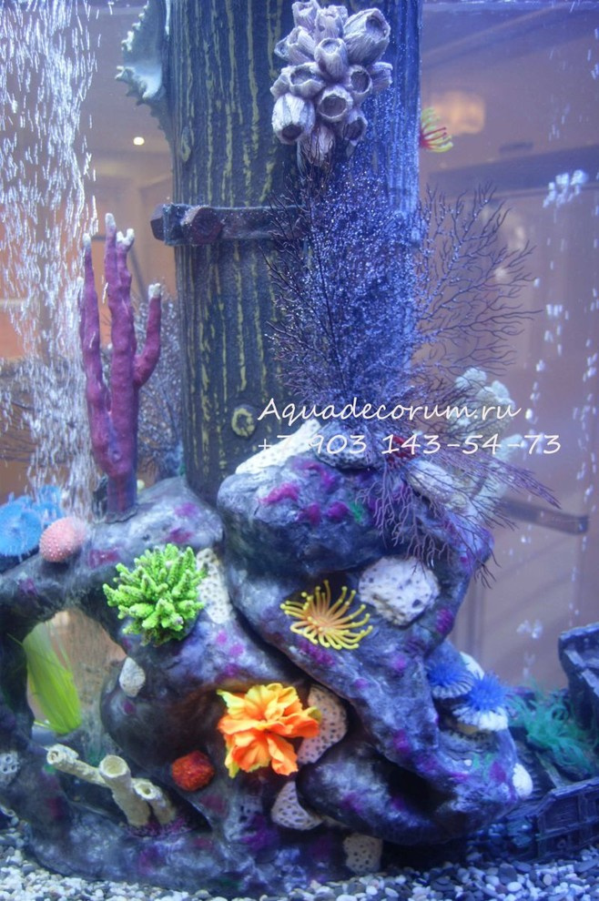 Аквариум в частном доме