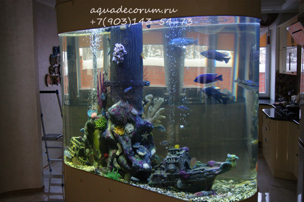 Обложка проекта: Аквариум в частном доме