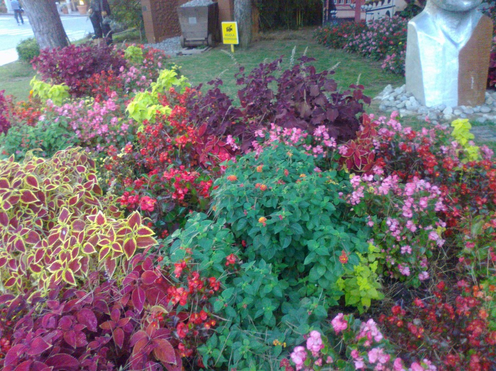 Обложка проекта: Пышный сад