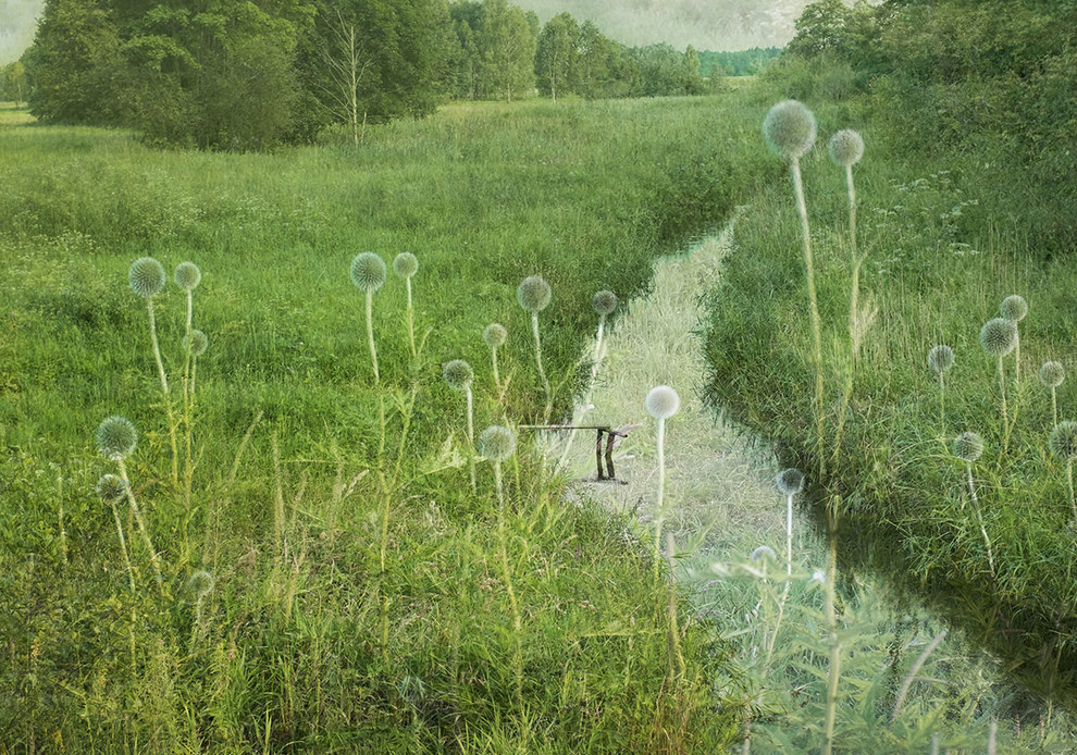 Портфолио