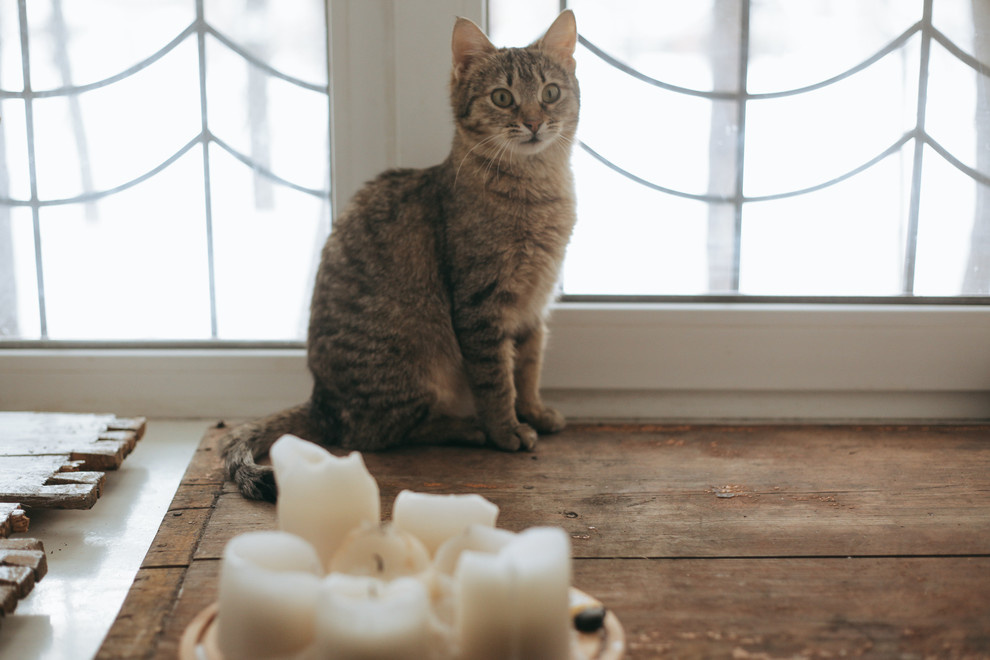 Гончарная школа "Колокол"