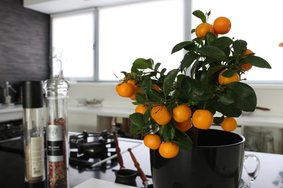 Загородный дом Миф на озере